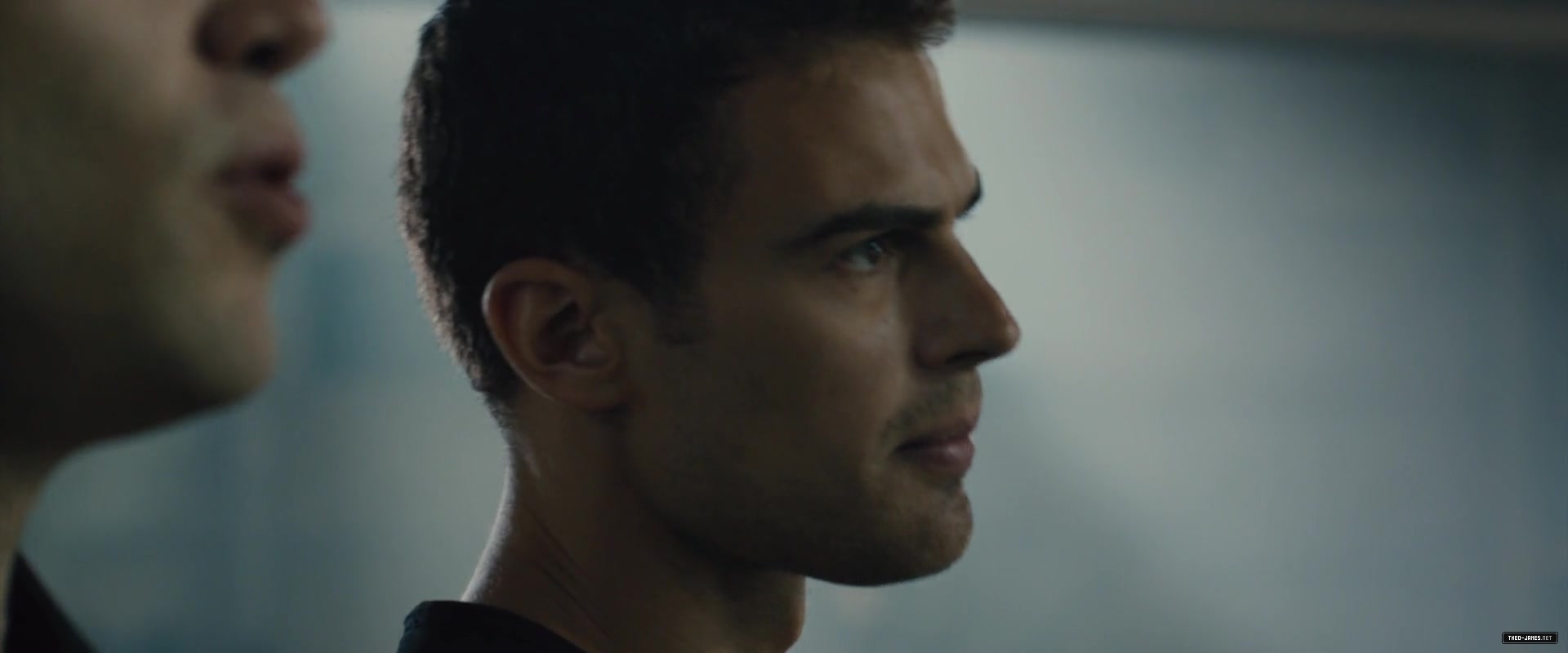 theojamesweb0270.jpg