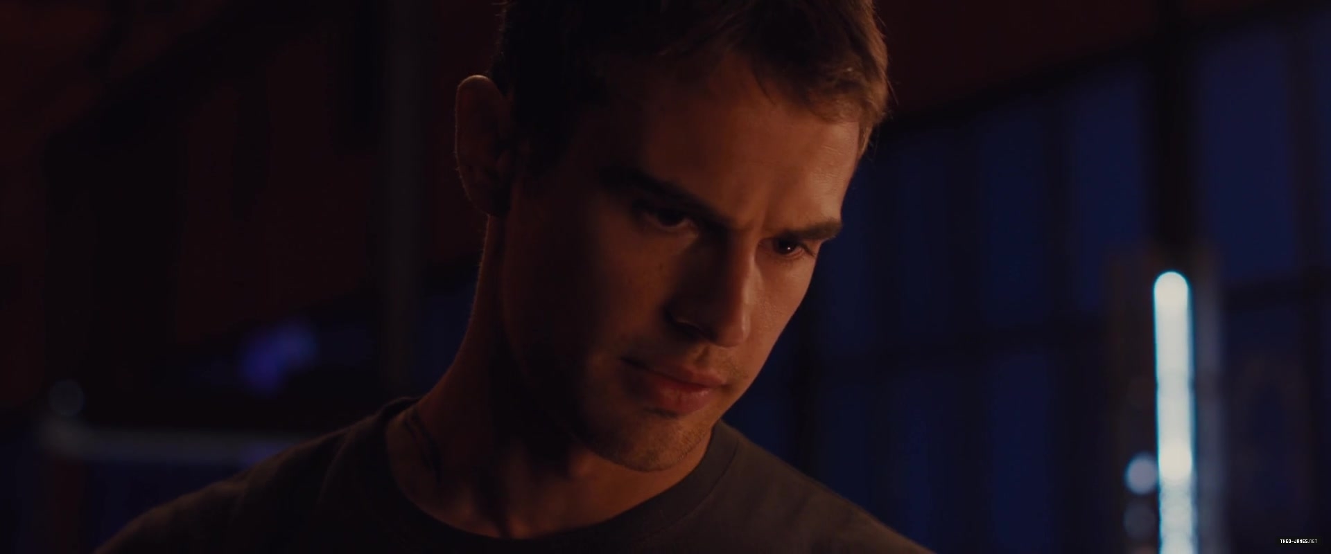 theojamesweb0381.jpg