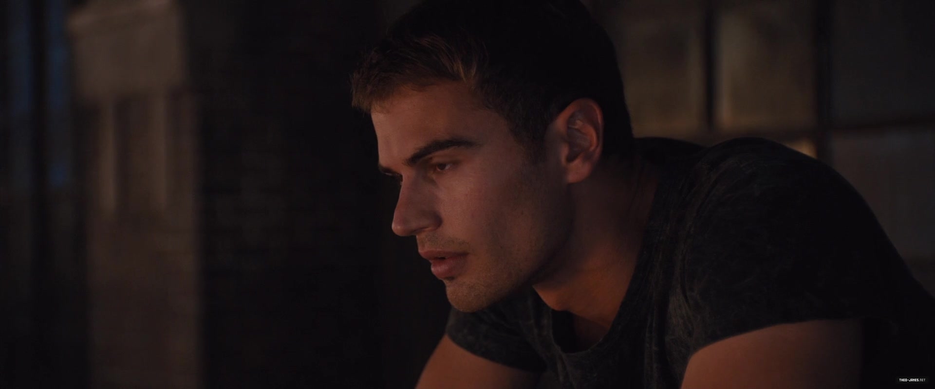 theojamesweb0443.jpg