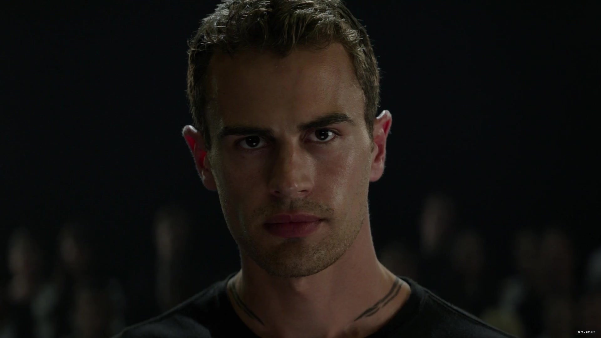 theojamesweb0773.jpg