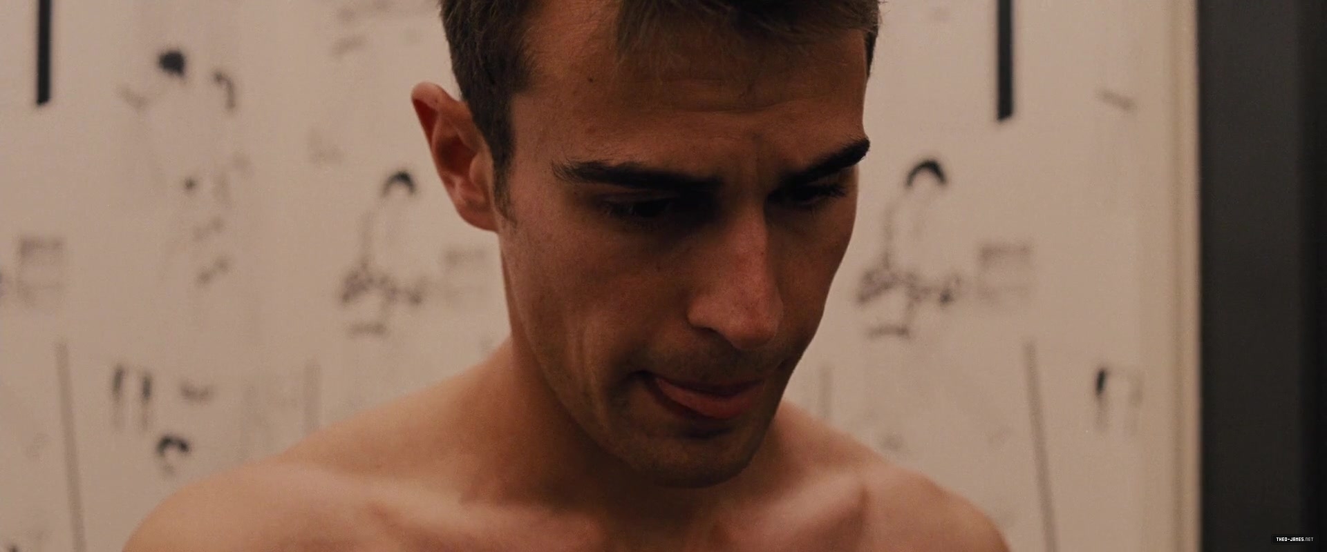 theojamesweb_2814029.jpg