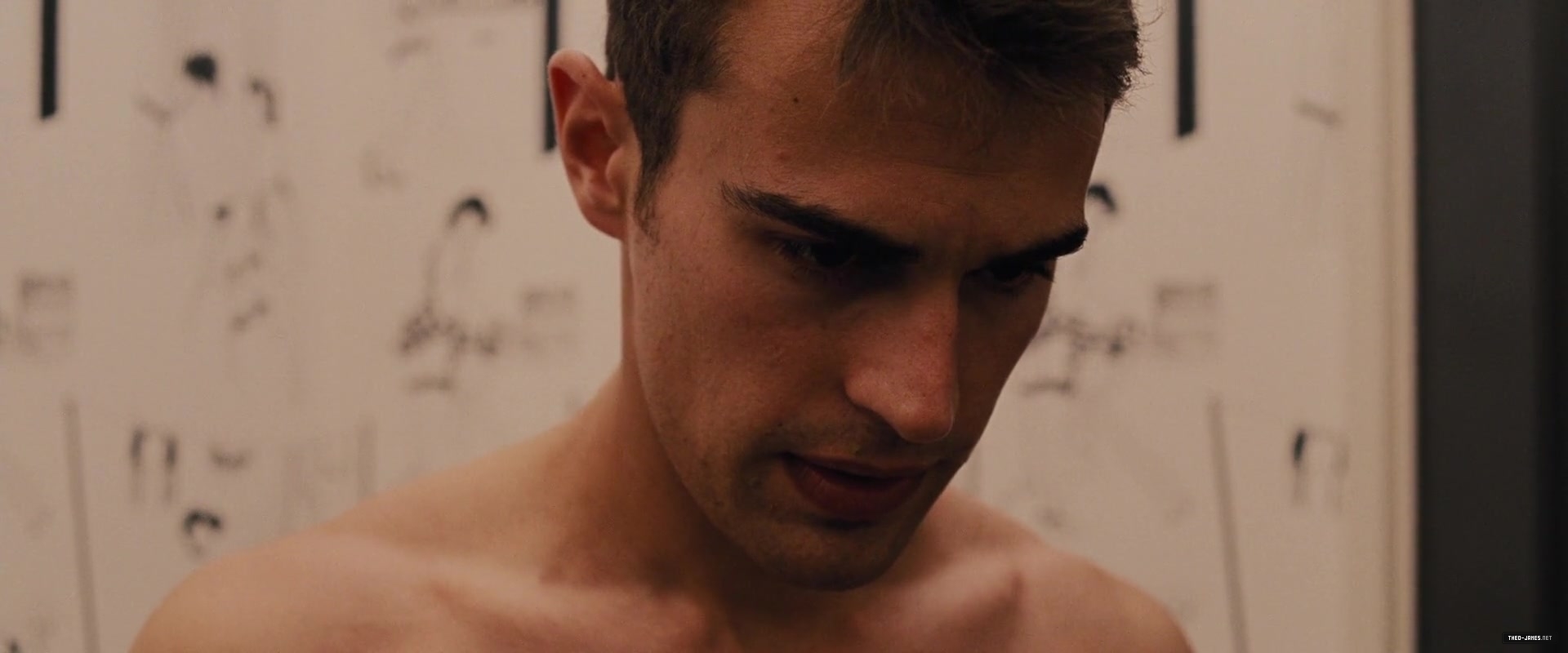 theojamesweb_2814129.jpg