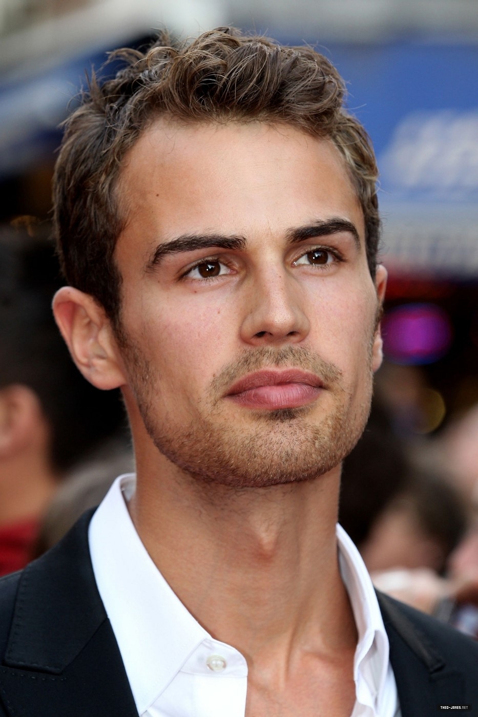 theojamesweb0010.jpg