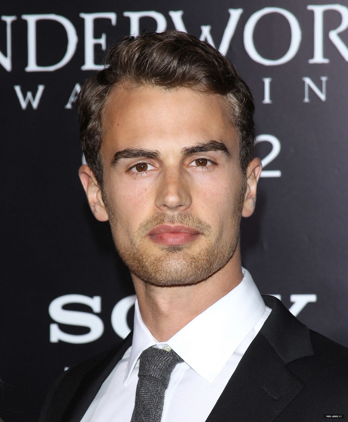 theojamesweb0168.jpg