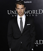 theojamesweb0067.jpg