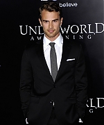 theojamesweb0069.jpg