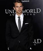 theojamesweb0070.jpg