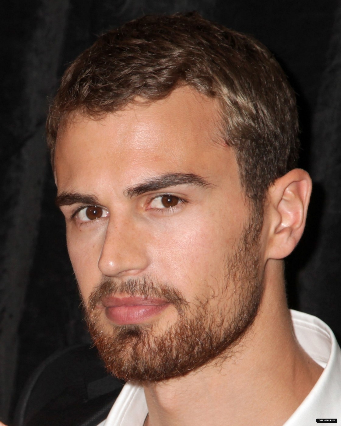 theojamesweb0377.jpg