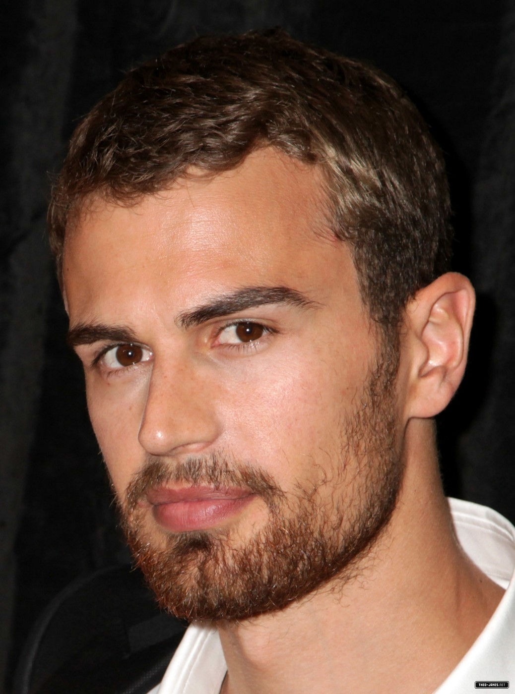 theojamesweb0378.jpg