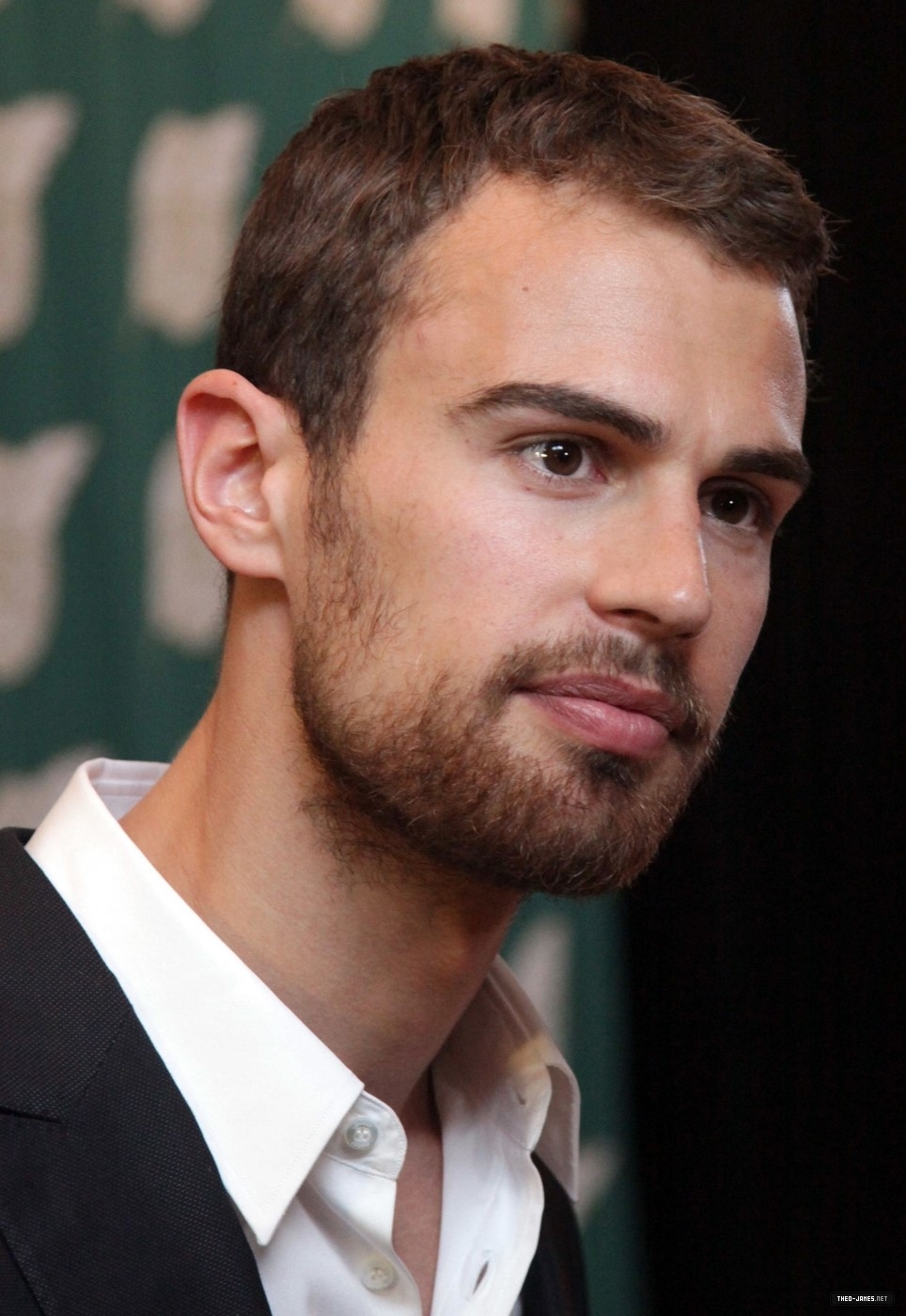 theojamesweb0379.jpg