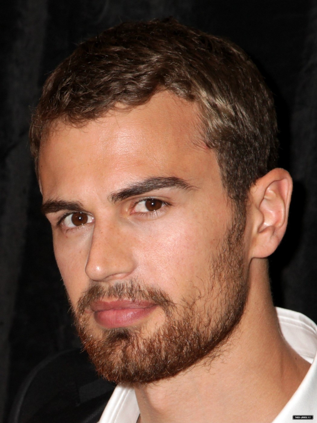 theojamesweb0426.jpg