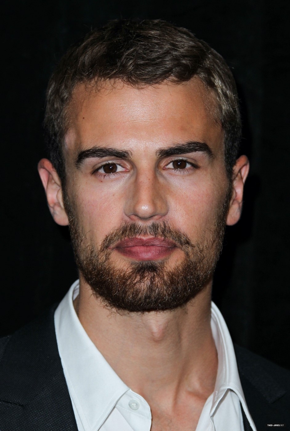 theojamesweb0430.jpg