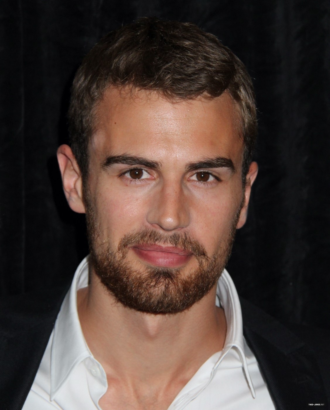 theojamesweb0440.jpg