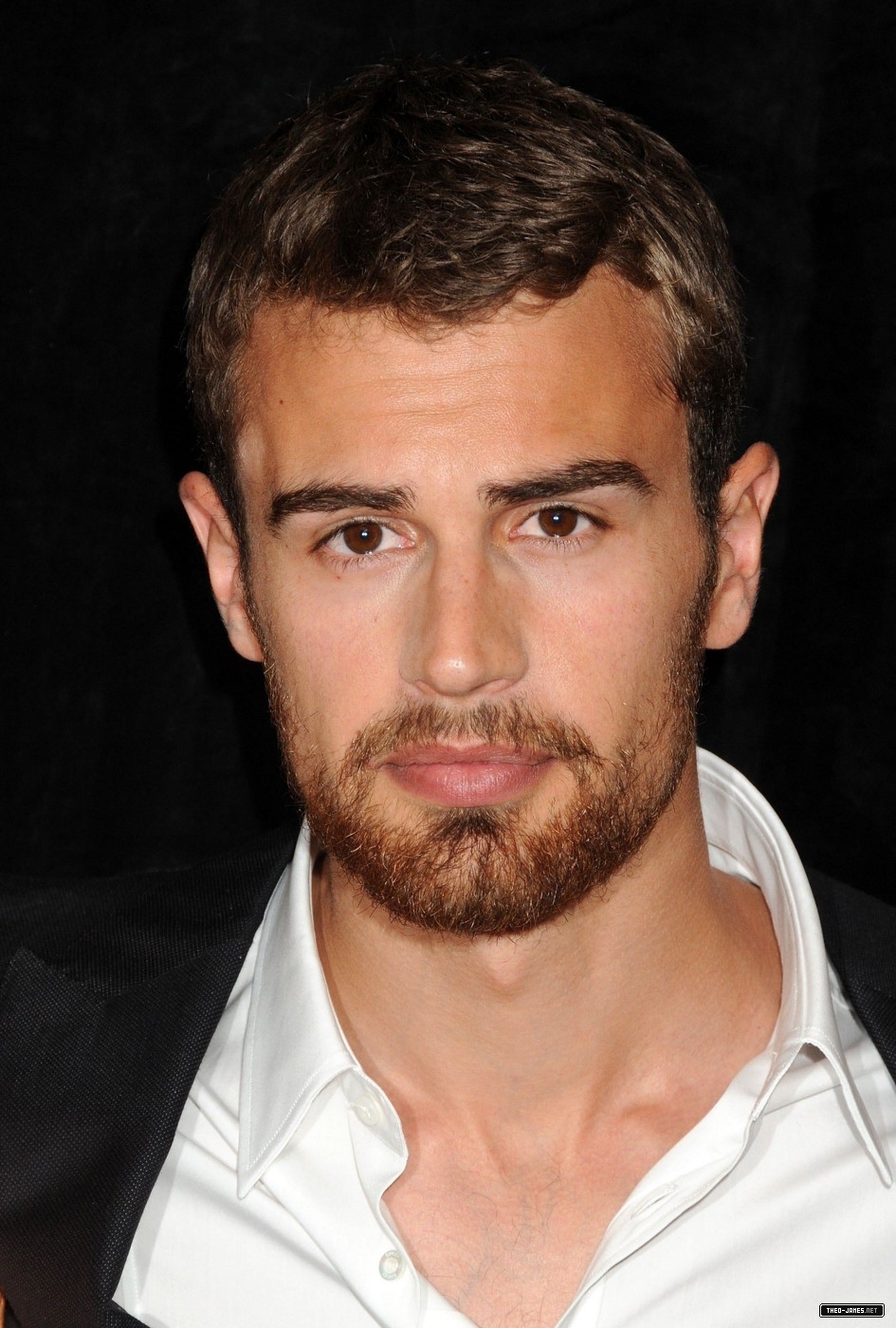 theojamesweb0442.jpg