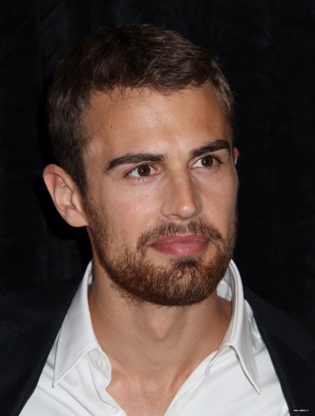 theojamesweb0444.jpg