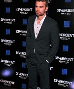 theojamesweb0463.jpg