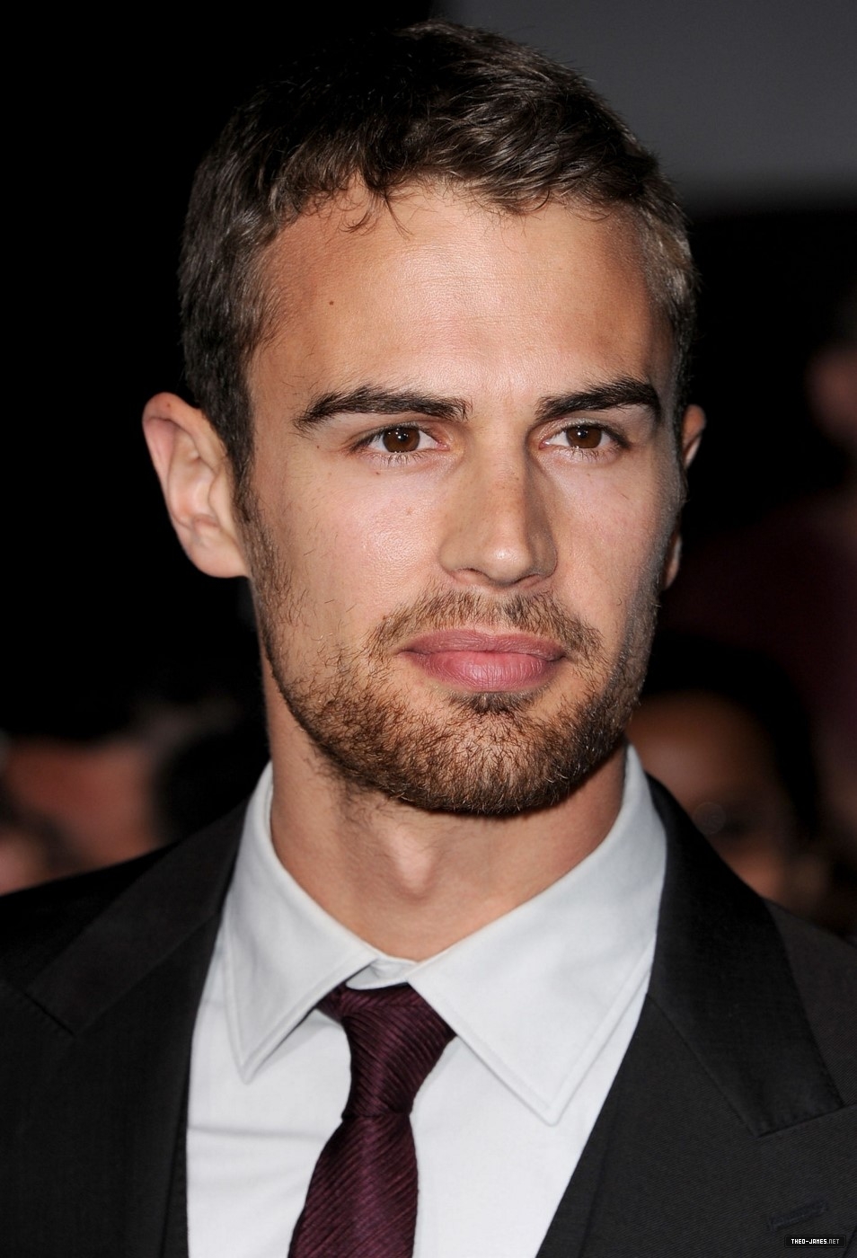 theojamesweb1145.jpg