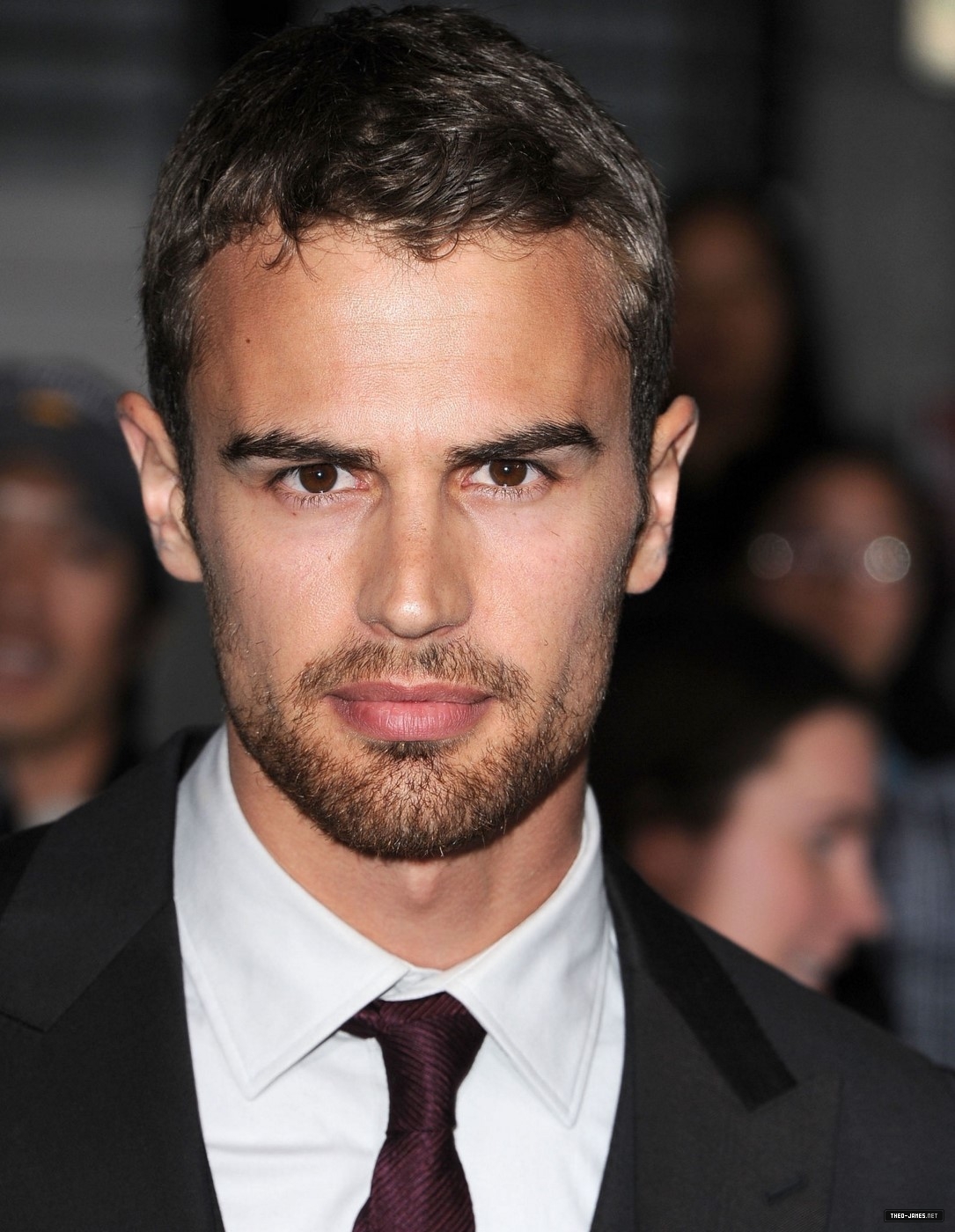 theojamesweb1160.jpg