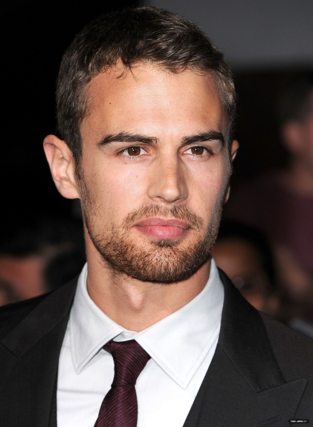 theojamesweb1172.jpg