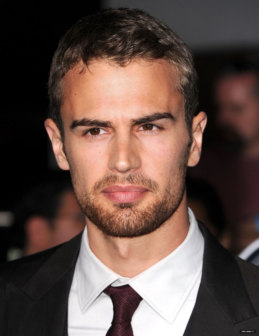 theojamesweb1190.jpg