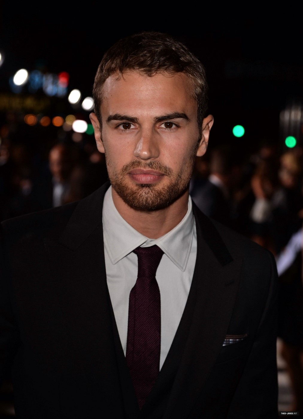 theojamesweb1960.jpg