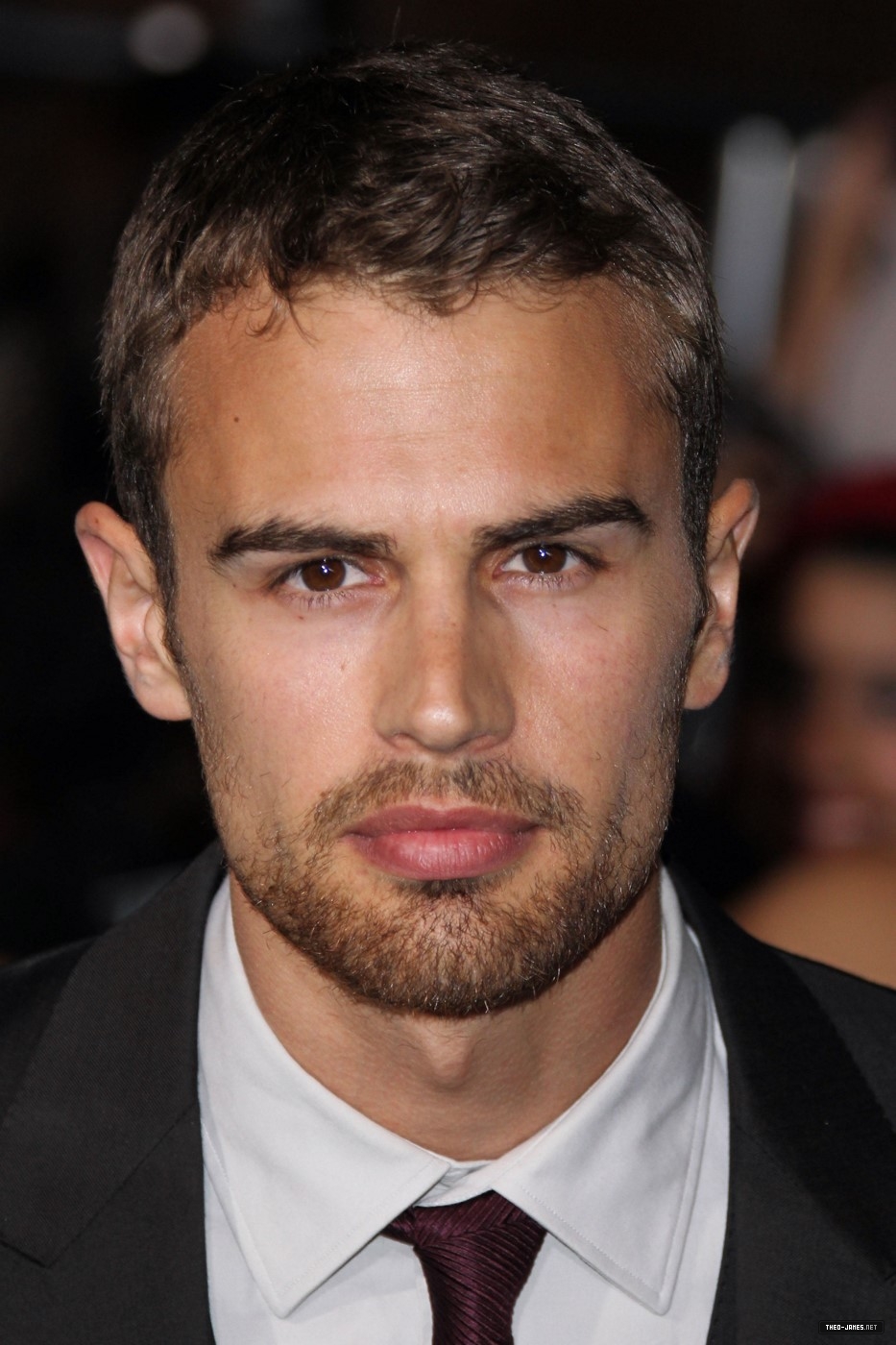 theojamesweb2012.jpg