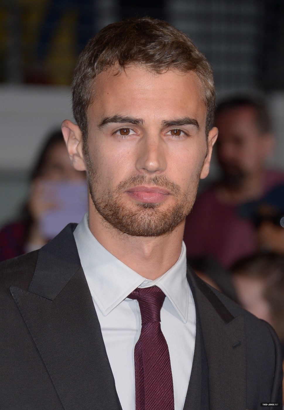 theojamesweb2111.jpg