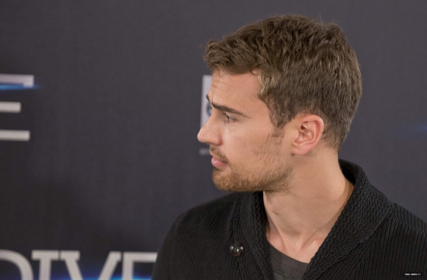 theojamesweb2253.jpg