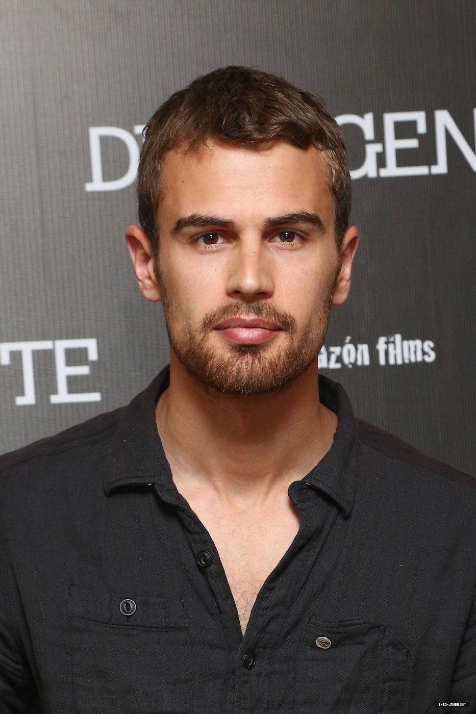 theojamesweb2411.jpg