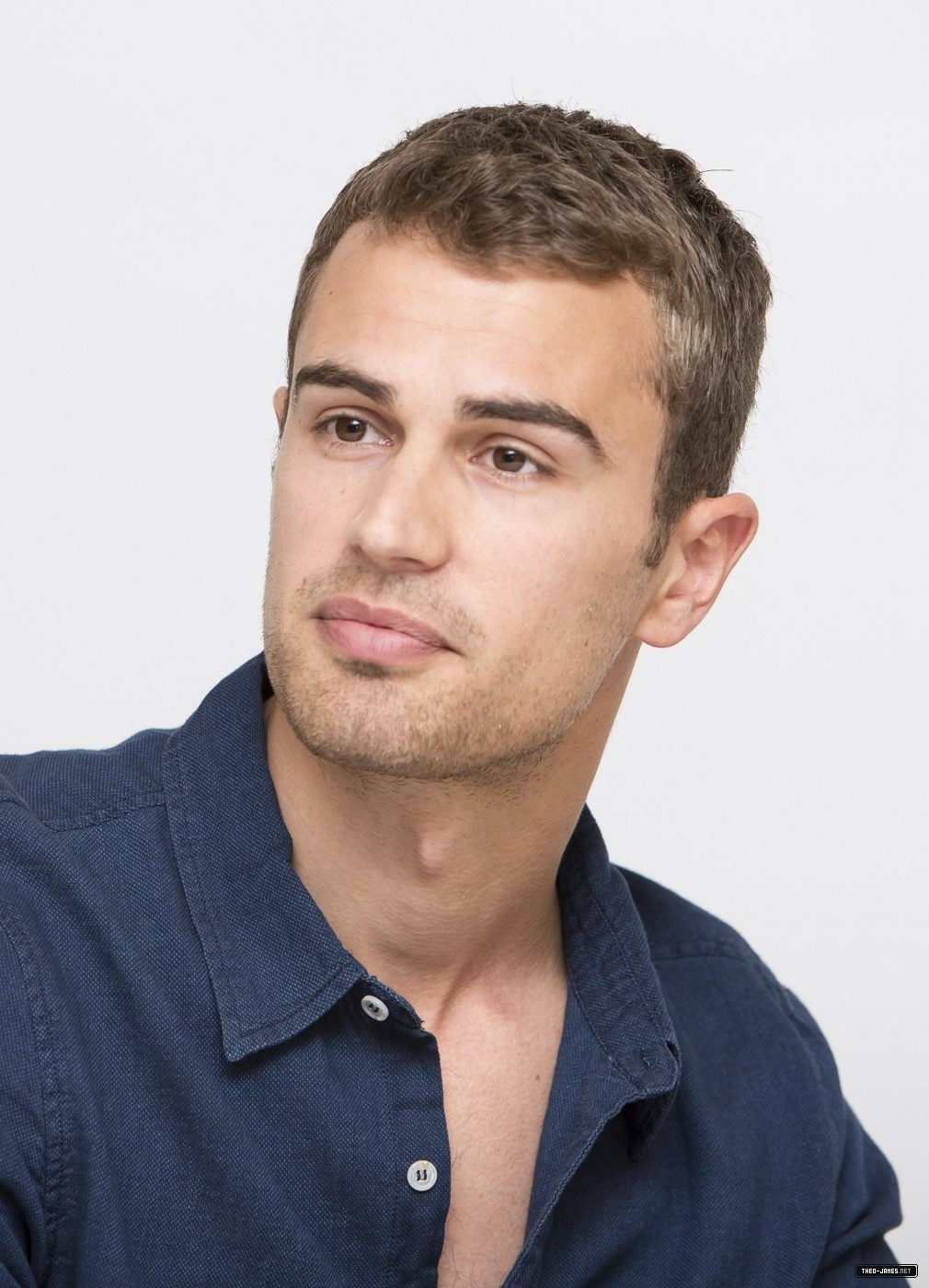 theojamesweb2504.jpg