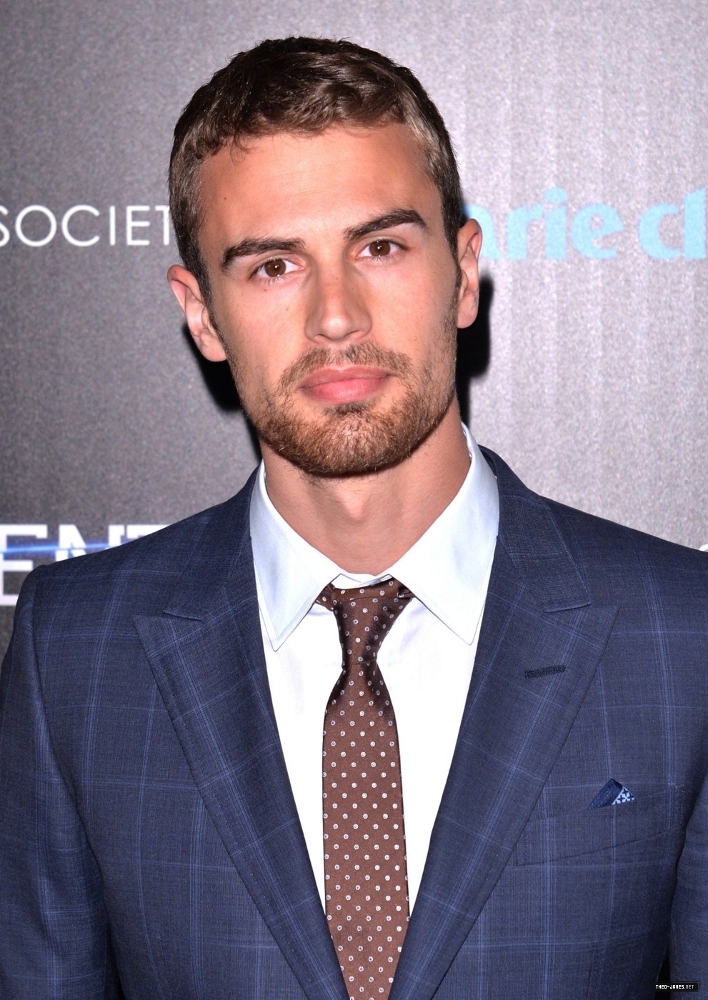 theojamesweb_281429.jpg