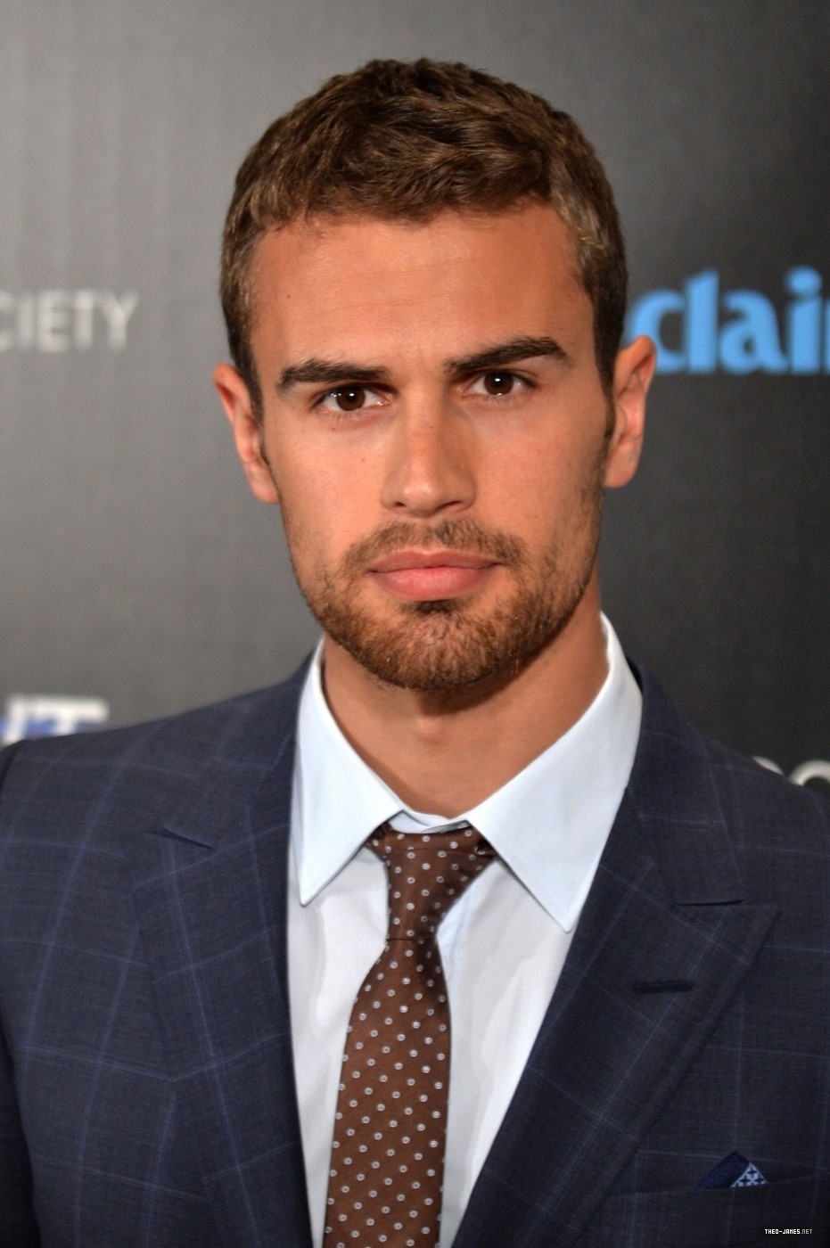 theojamesweb_281529.jpg