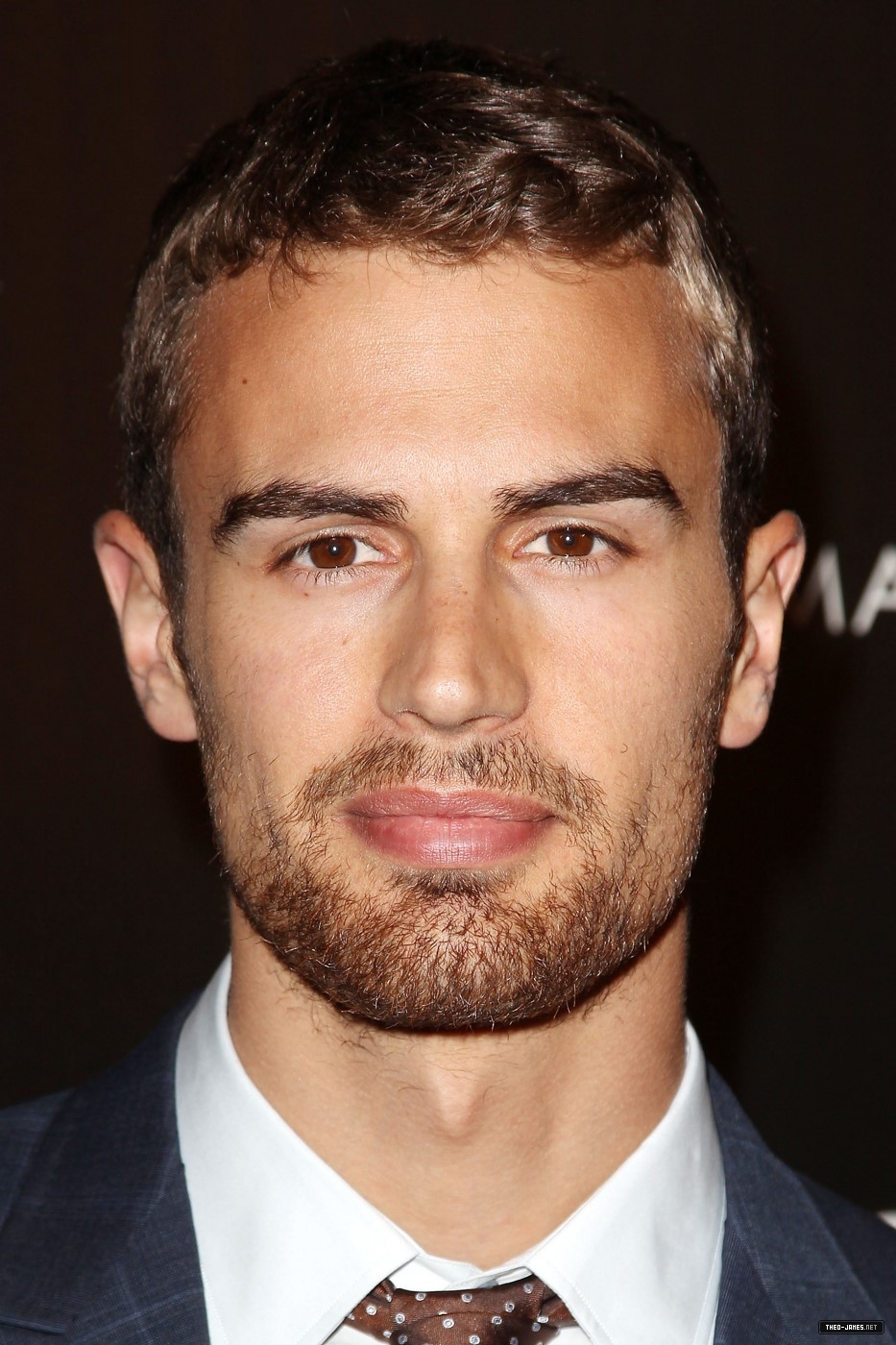 theojamesweb_2815929.jpg