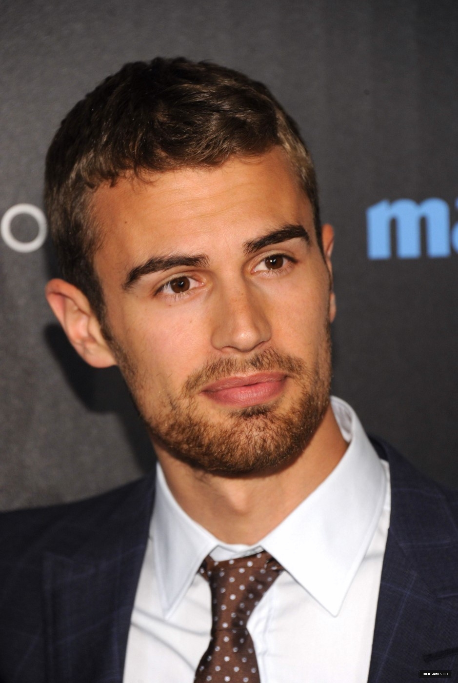 theojamesweb_2816029.jpg