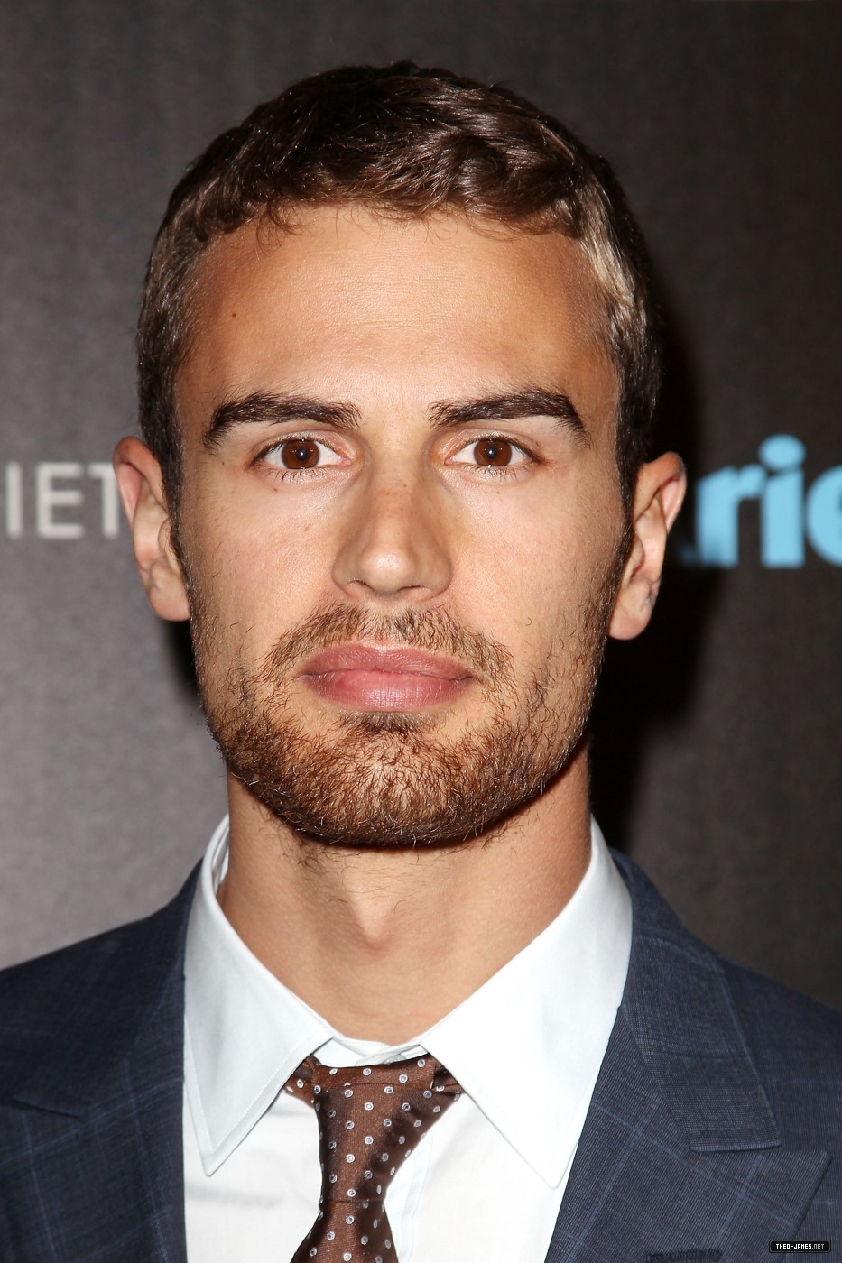 theojamesweb_2816129.jpg