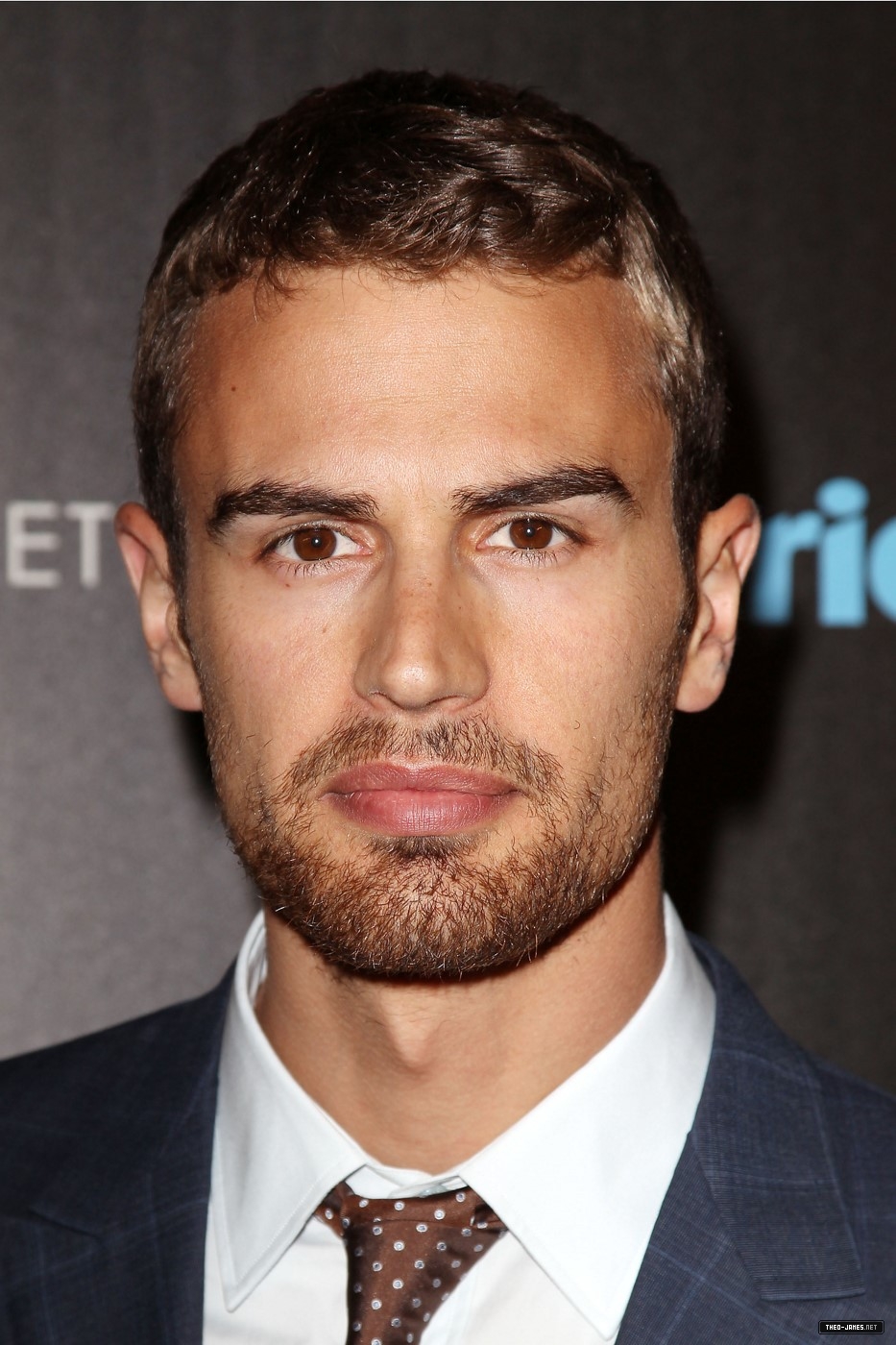 theojamesweb_2816329.jpg