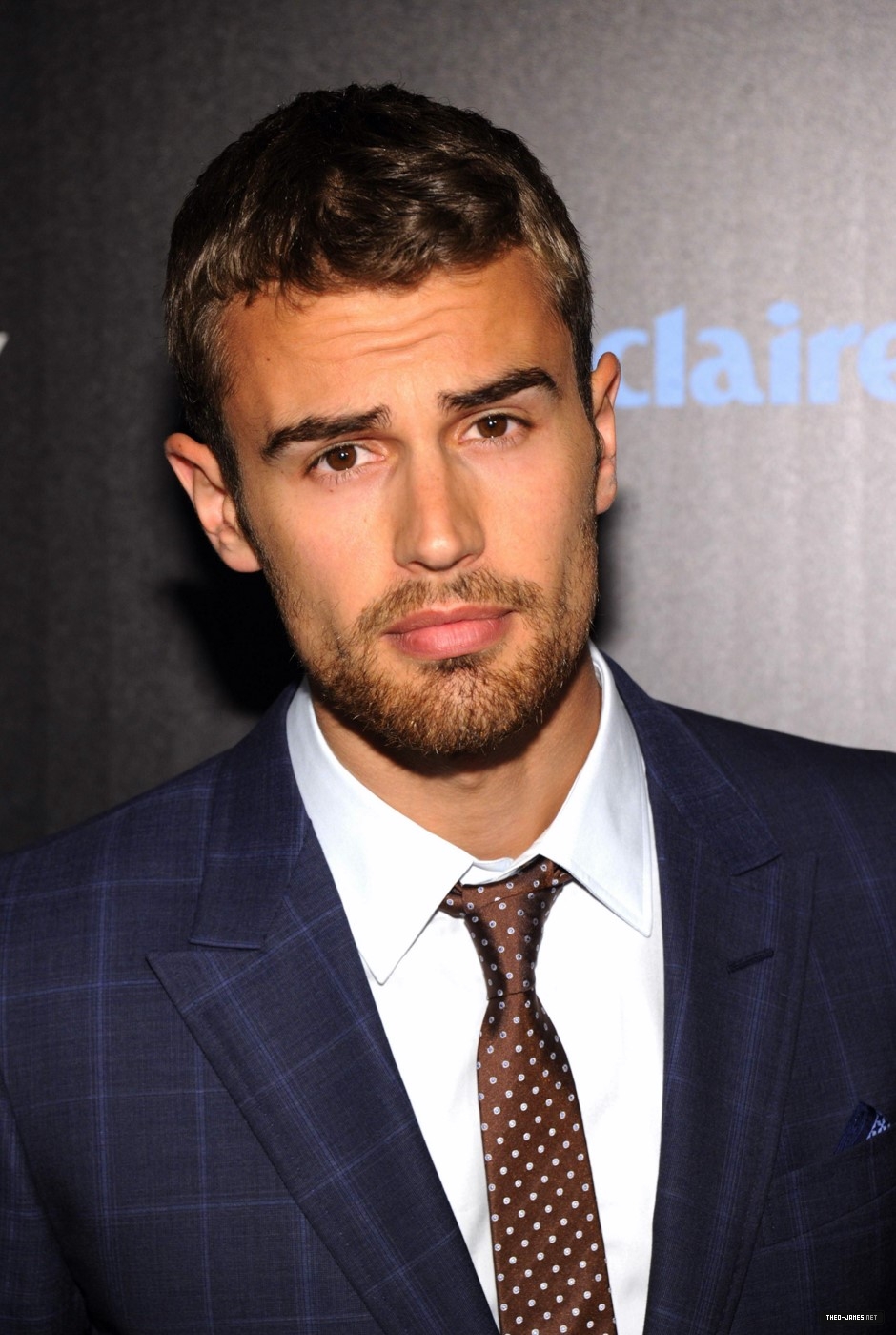 theojamesweb_2816629.jpg