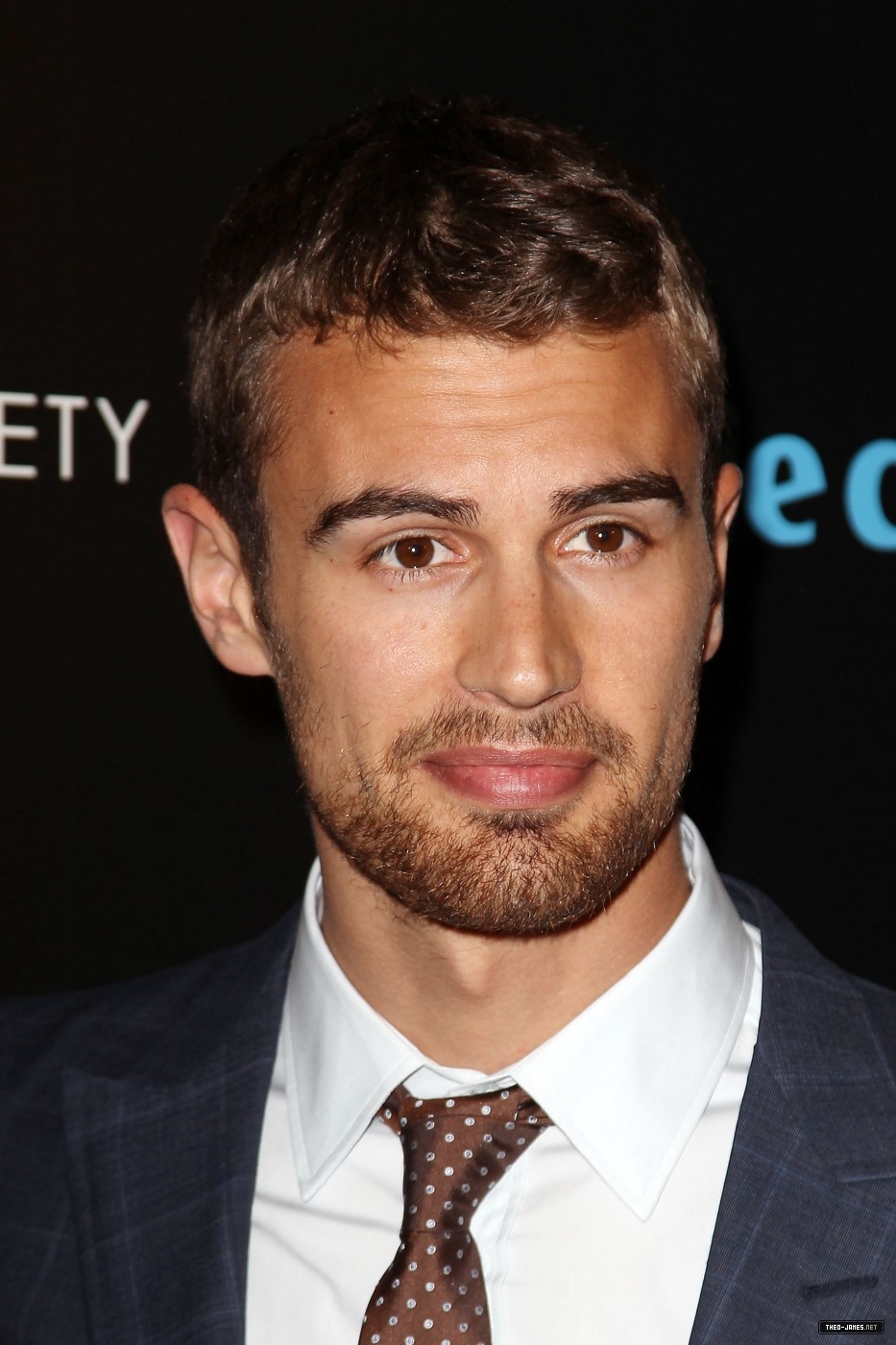 theojamesweb_2816729.jpg