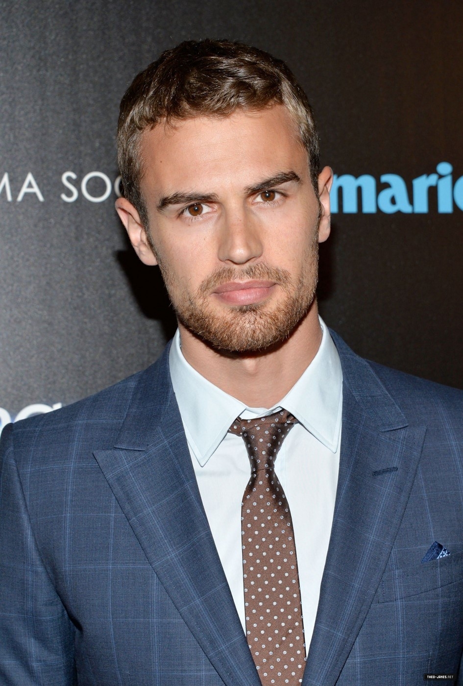 theojamesweb_2816829.jpg