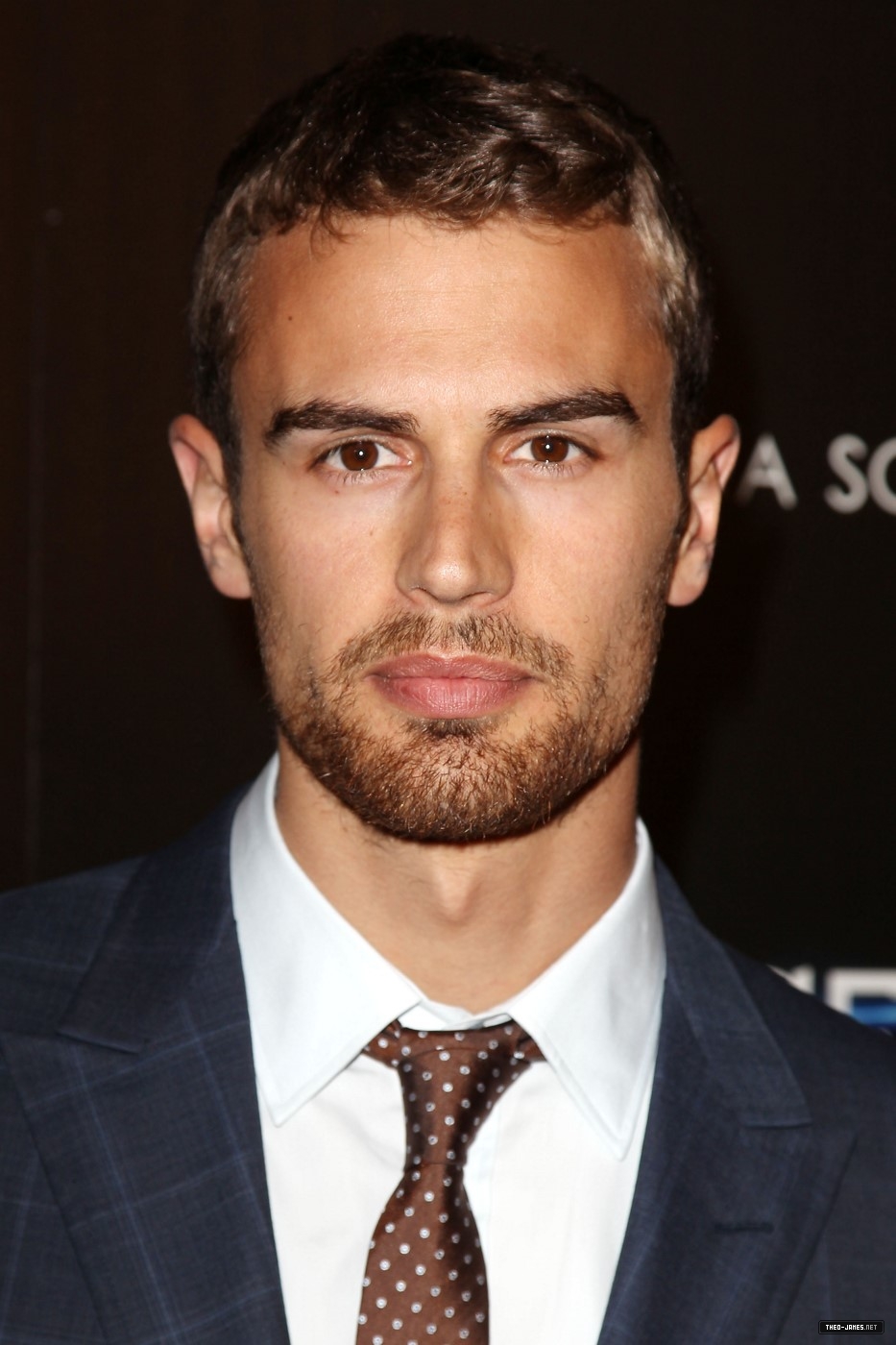 theojamesweb_2816929.jpg