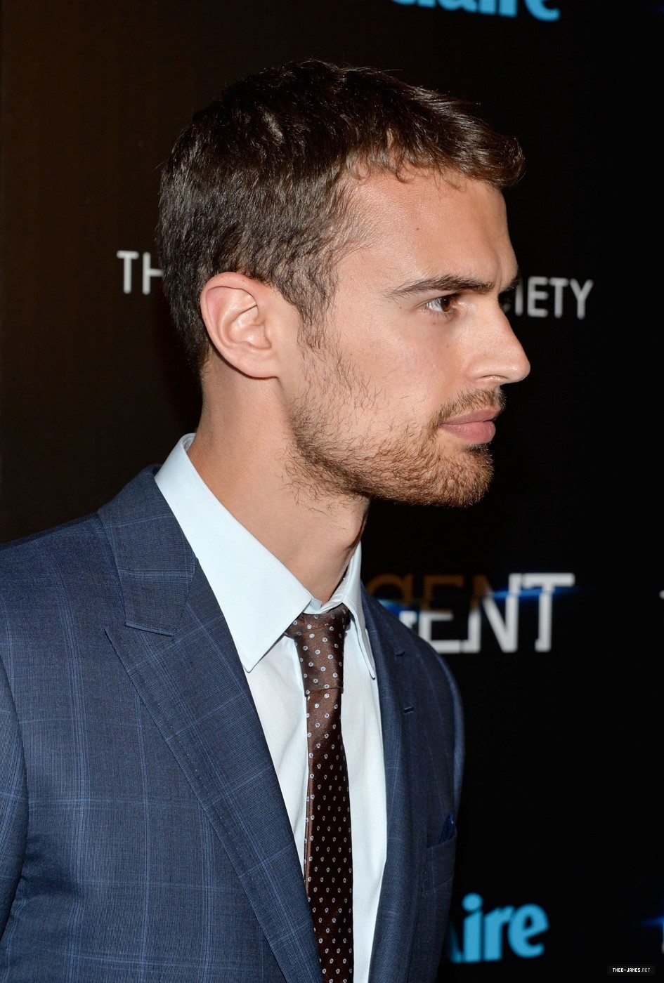 theojamesweb_2817029.jpg