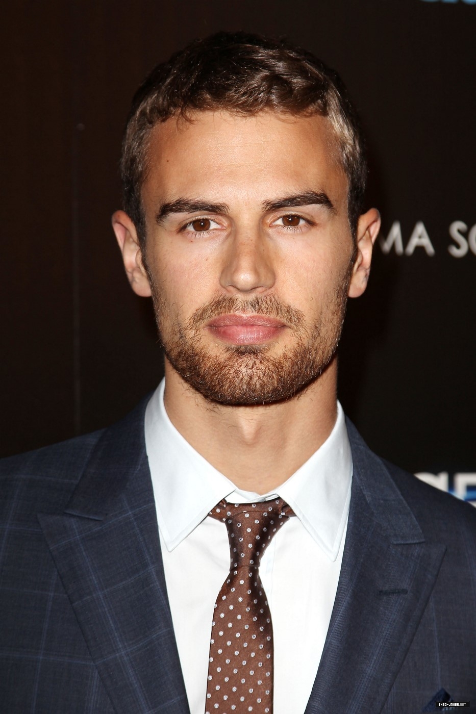 theojamesweb_2817129.jpg