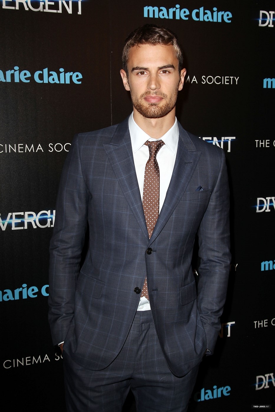 theojamesweb_2817529.jpg