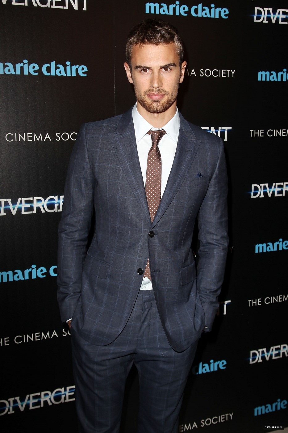 theojamesweb_2817729.jpg