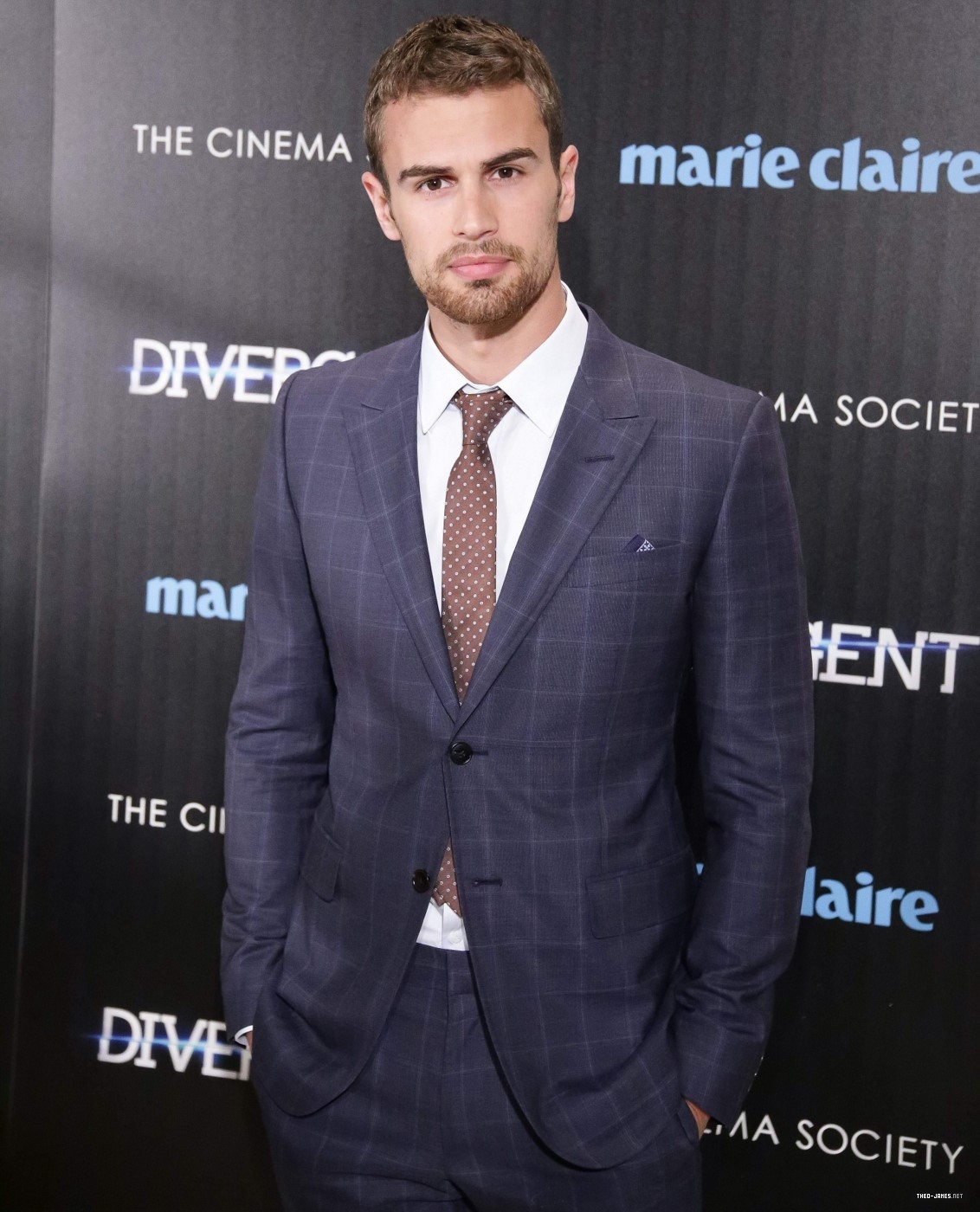 theojamesweb_2817829.jpg