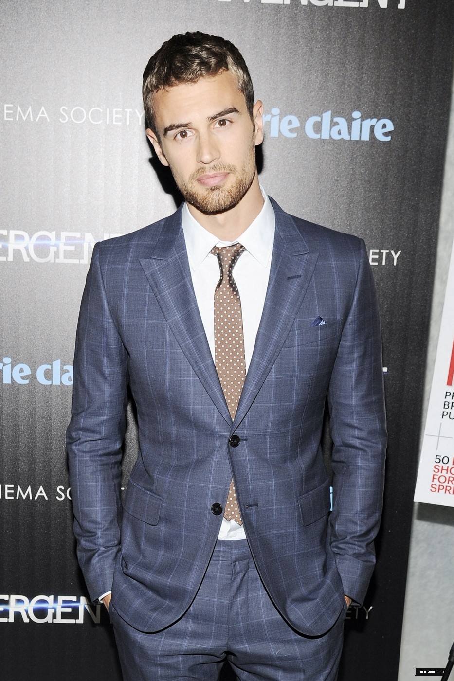 theojamesweb_2817929.jpg