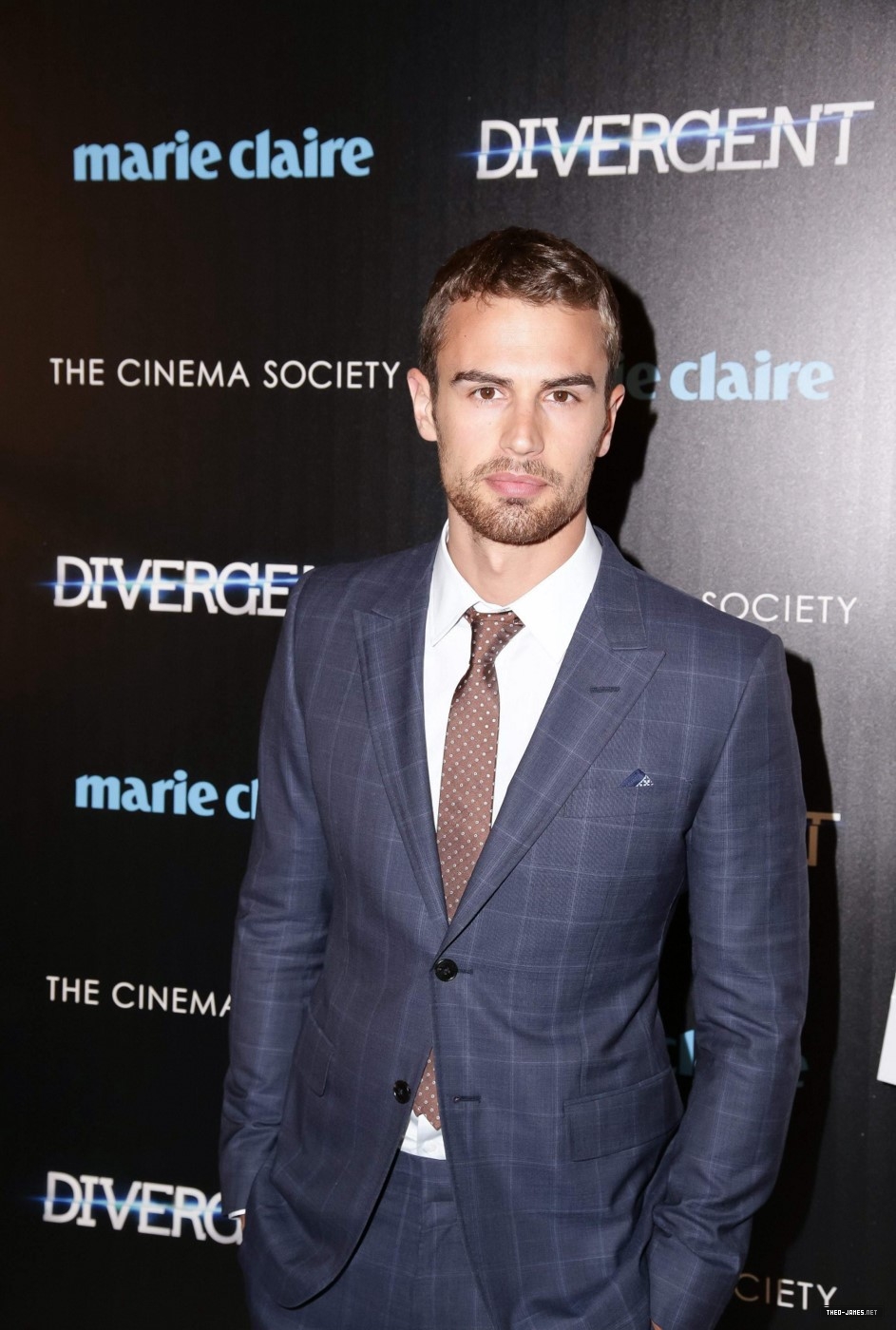 theojamesweb_2818029.jpg