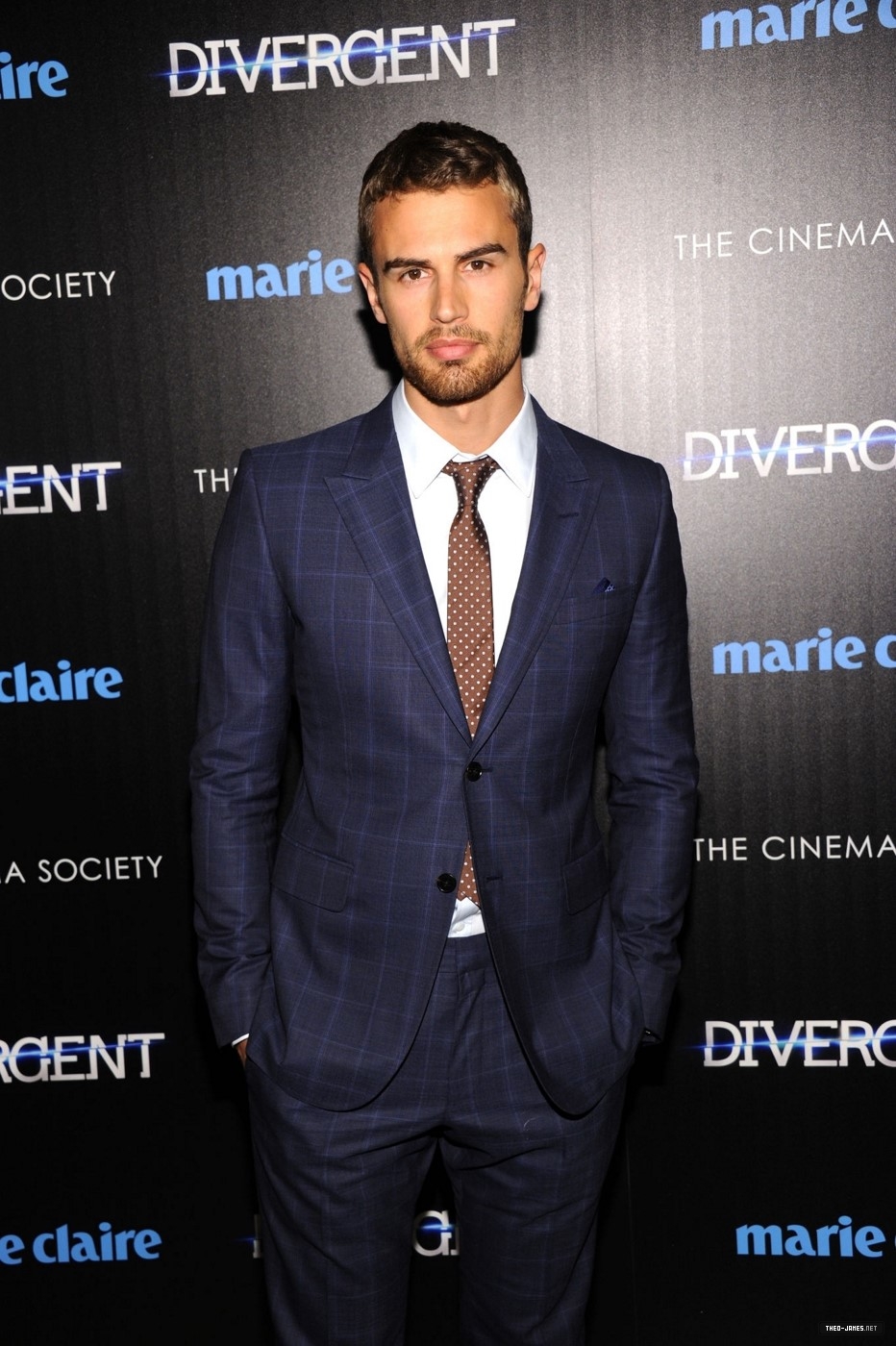 theojamesweb_281929.jpg