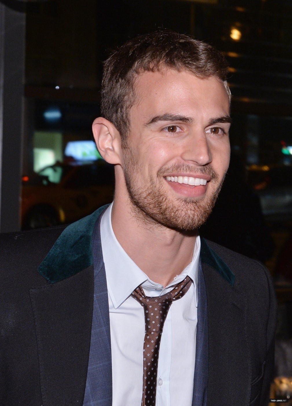 theojamesweb_2820329.jpg