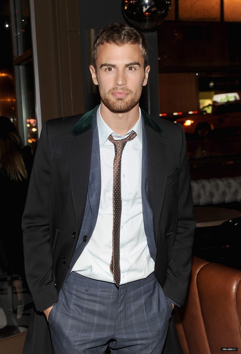 theojamesweb_2820729.jpg